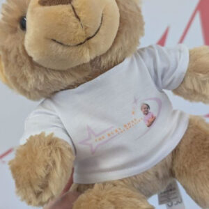 Teddy Bear